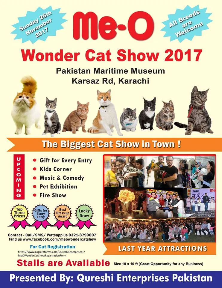 Me O Wonder Cat Show 2017