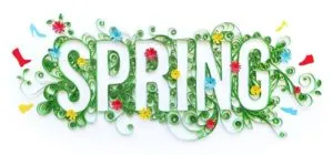 26168069 1122941861193479 5219798736837418126 N