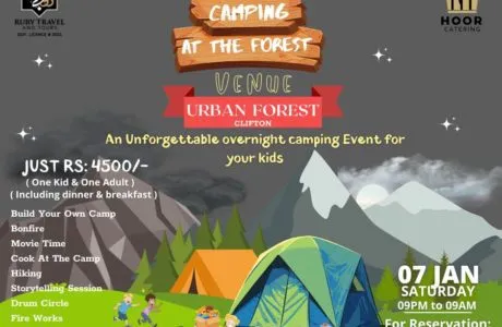 Camping At The Forest