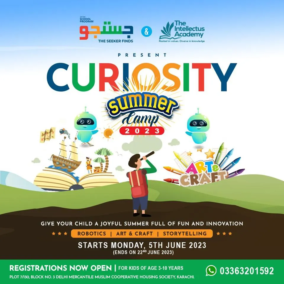 Curiosity Summer Camp