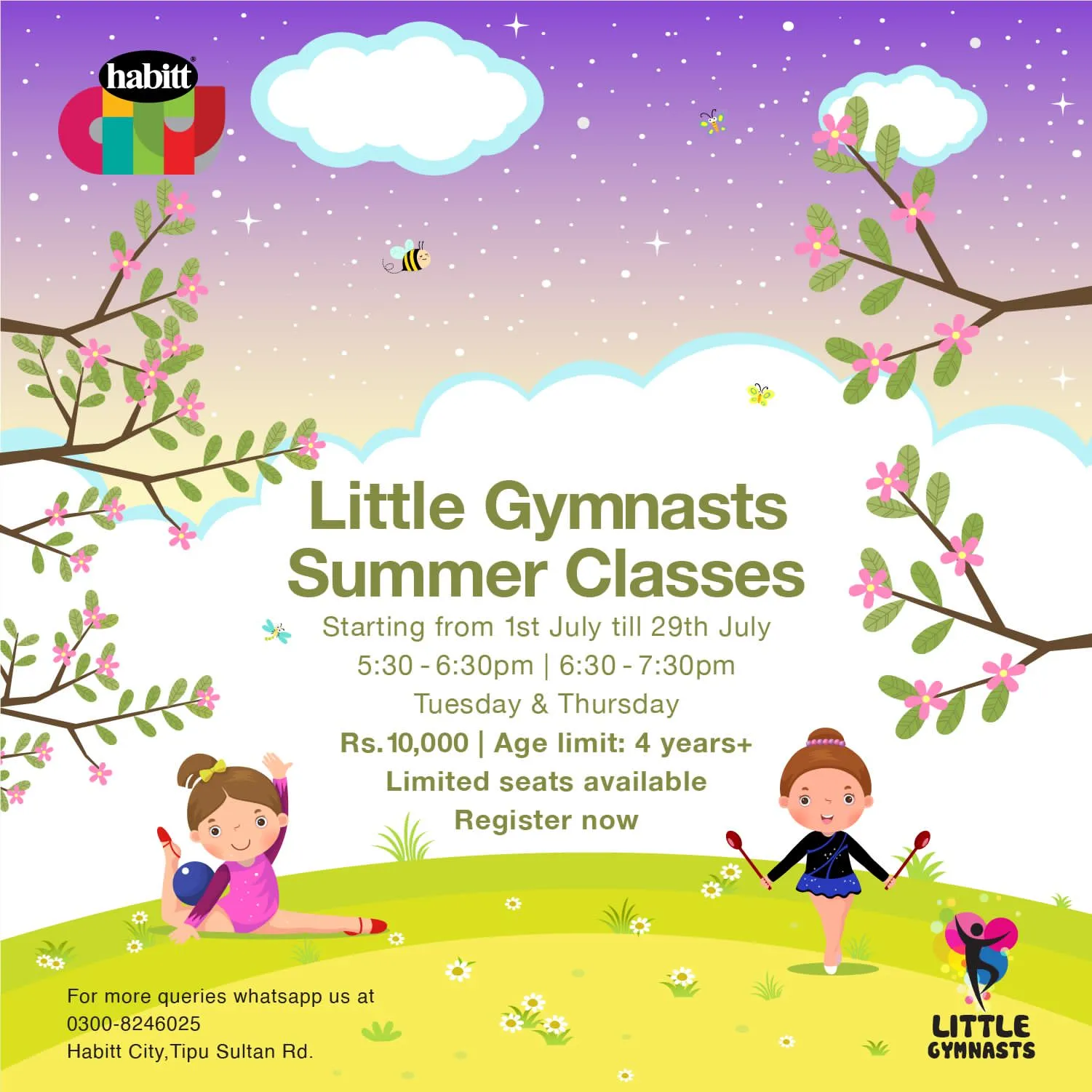Little Gymnasts Summer Classes