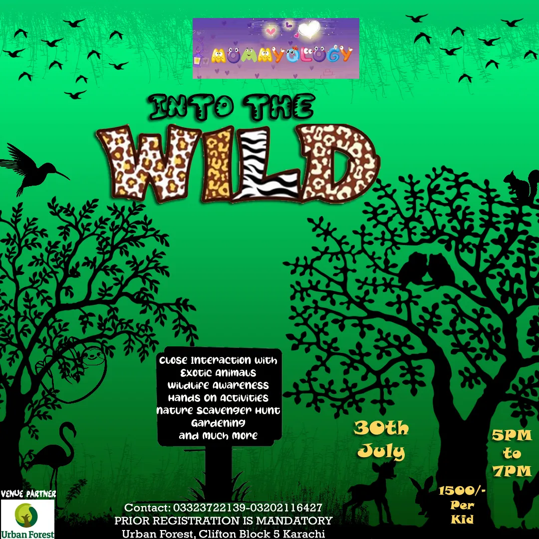 Into the Wild Again