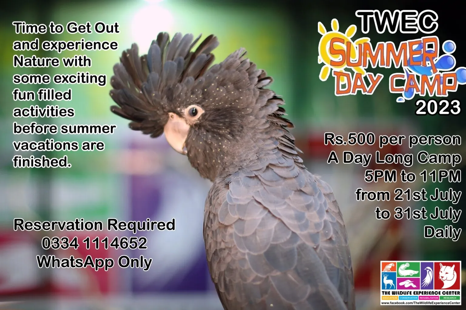 Summer Day Camp 2023