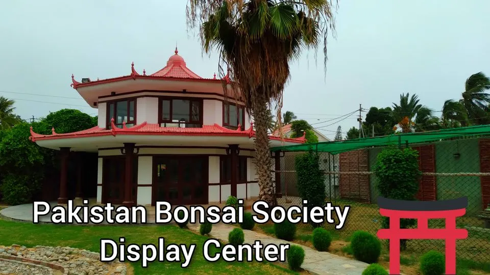 Pakistan Bonsai Societys Monthly Workshop On Bonsai