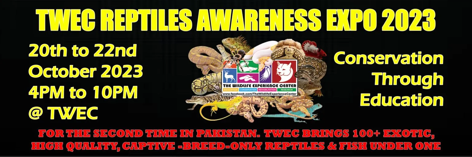 TWEC Reptiles Awareness Expo