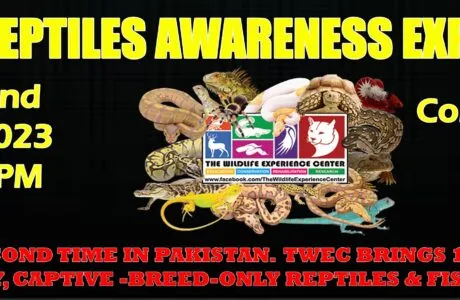 TWEC Reptiles Awareness Expo